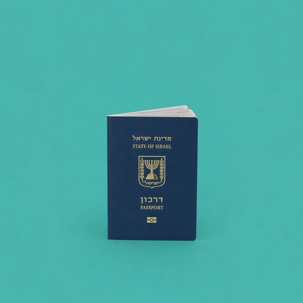 תמונת פספורט